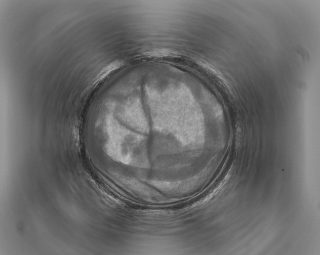 X0000112101305200909011116