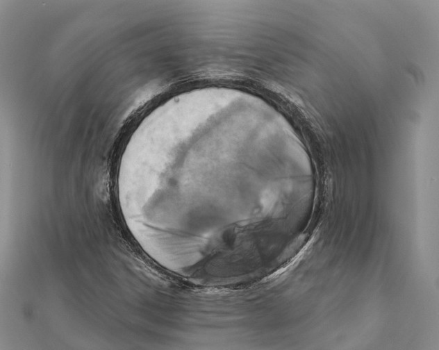 X0000112101306200909011116