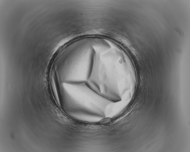 X0000112101308200909011116