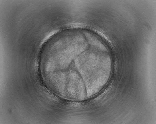 X0000112101309200909011116