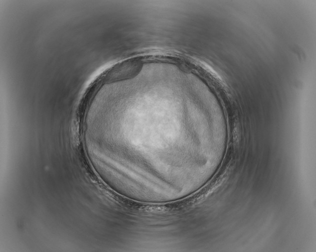 X0000112101310200909011116