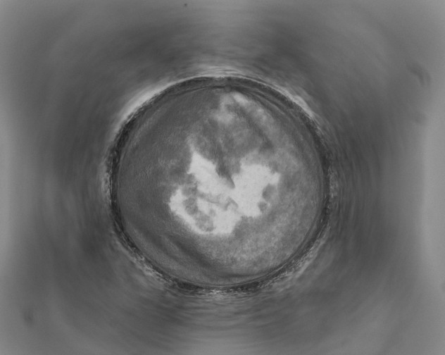 X0000112101311200909011116