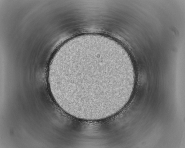 X0000112101314200909011116