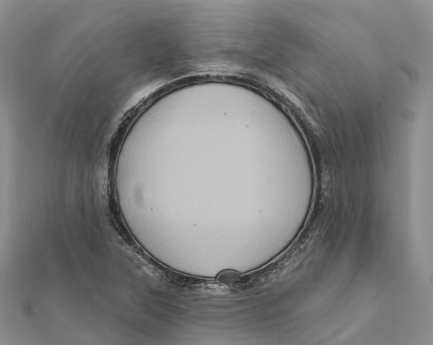 X0000112101315200909011116