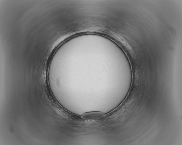 X0000112101316200909011116