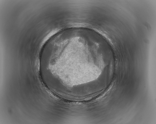 X0000112101317200909011116