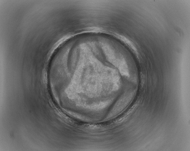 X0000112101318200909011116