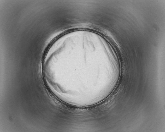 X0000112101320200909011116