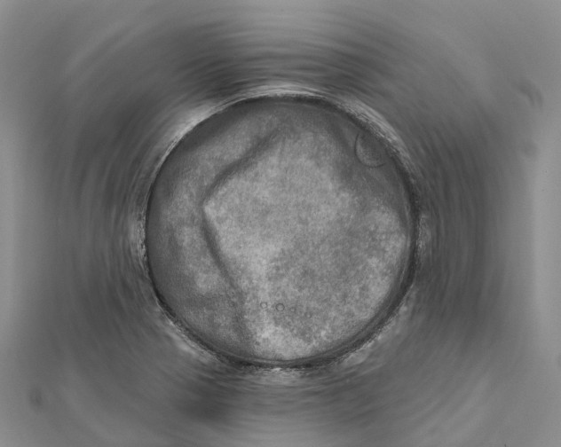 X0000112101321200909011116