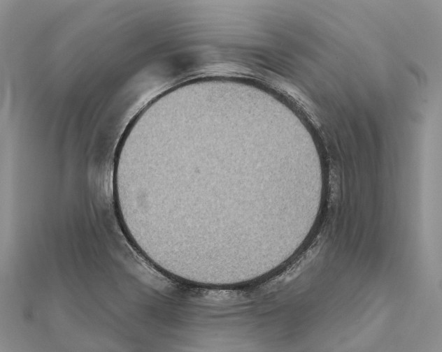X0000112101322200909011116
