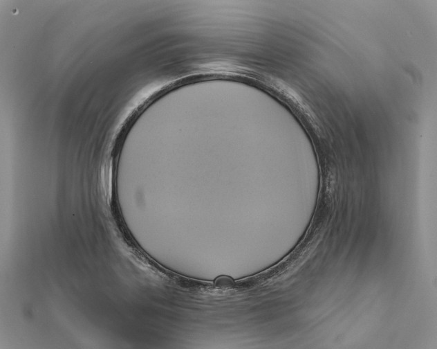 X0000112101323200909011116