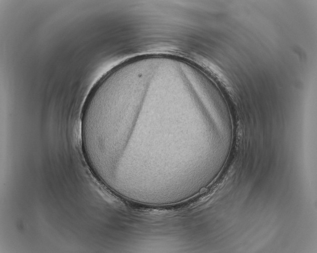 X0000112101324200909011116