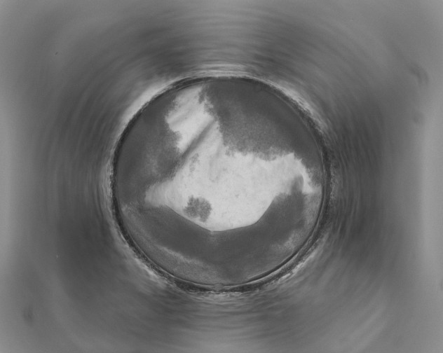X0000112101325200909011116