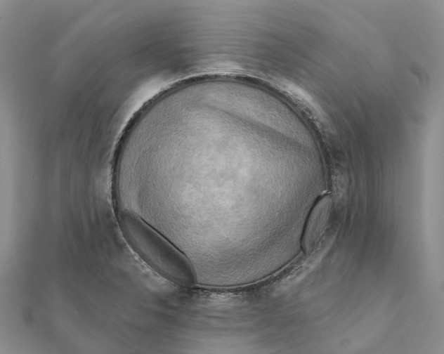 X0000112101326200909011116
