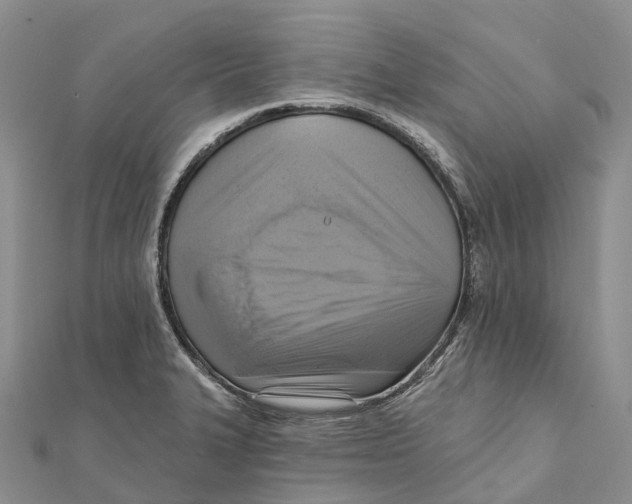 X0000112101327200909011116