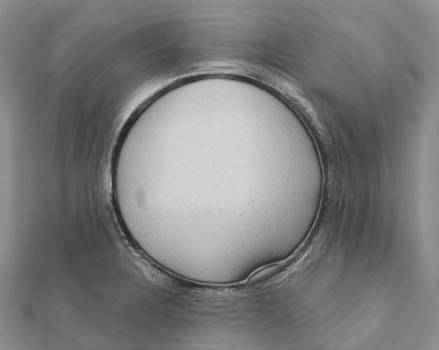 X0000112101328200909011116