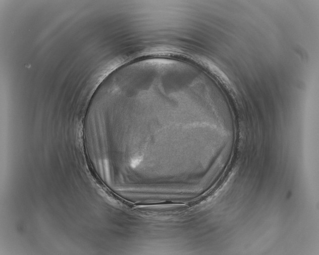 X0000112101329200909011116