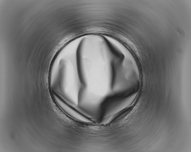 X0000112101330200909011117