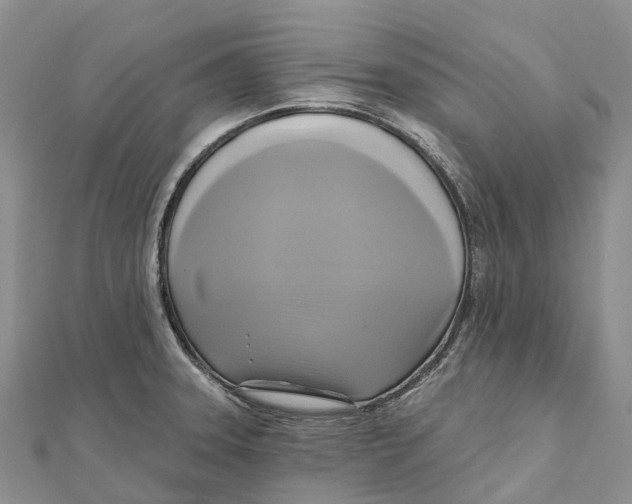 X0000112101331200909011117