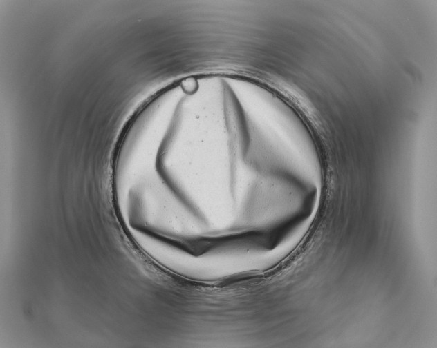 X0000112101332200909011117