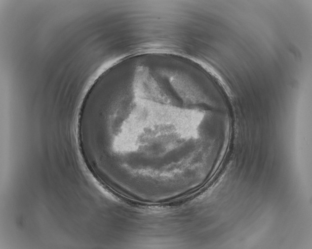 X0000112101333200909011117