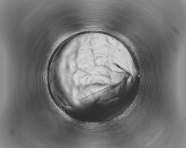 X0000112101334200909011117