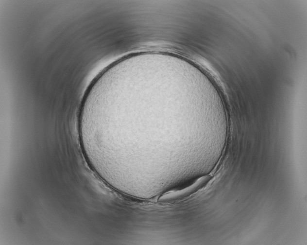 X0000112101336200909011117