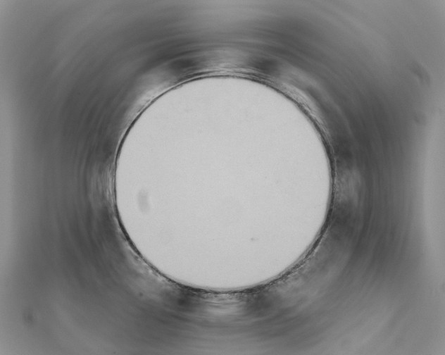 X0000112101338200909011117