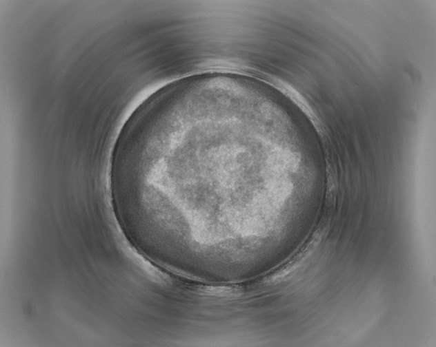 X0000112101339200909011117