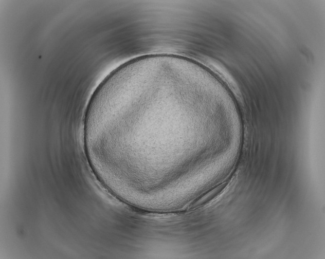 X0000112101340200909011117