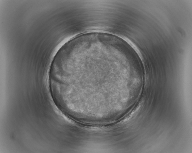 X0000112101341200909011117