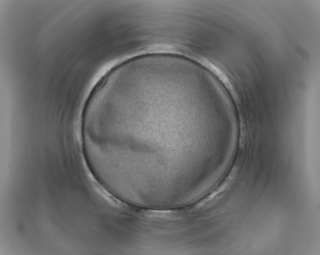 X0000112101342200909011117