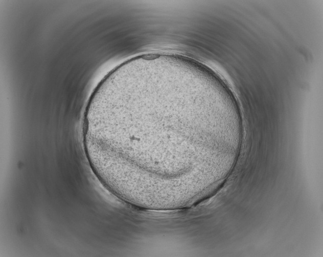 X0000112101344200909011117
