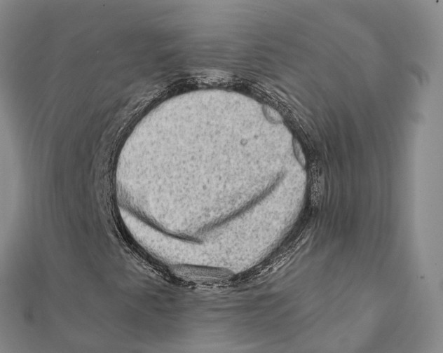 X0000112101345200909011116