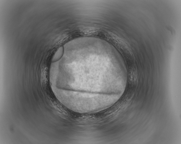 X0000112101346200909011116