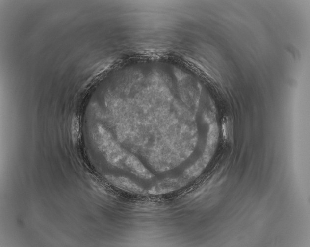 X0000112101347200909011116