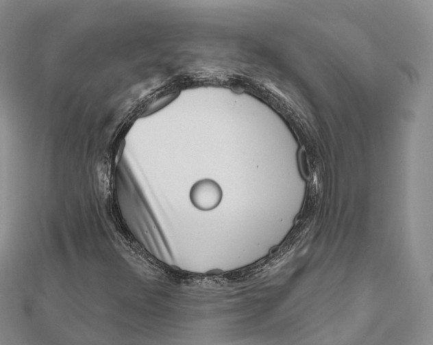X0000112101348200909011116