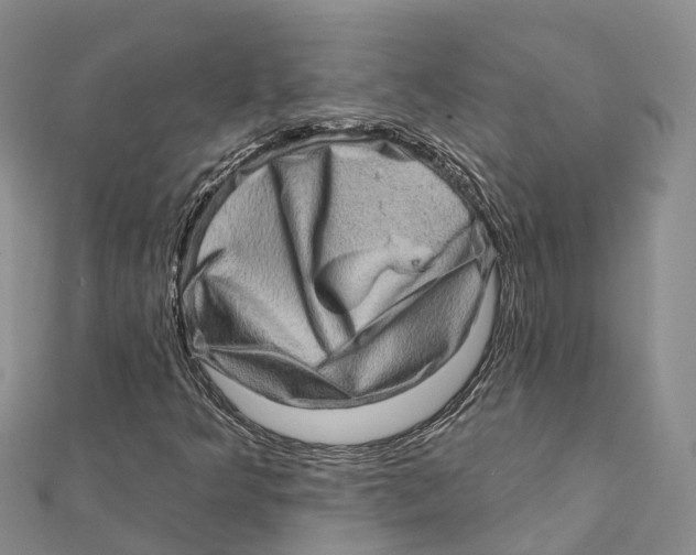 X0000112101349200909011116