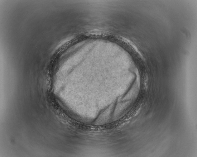 X0000112101350200909011116