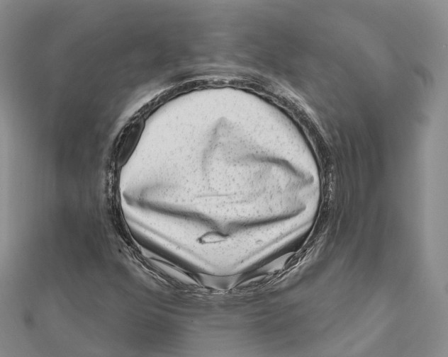 X0000112101352200909011116
