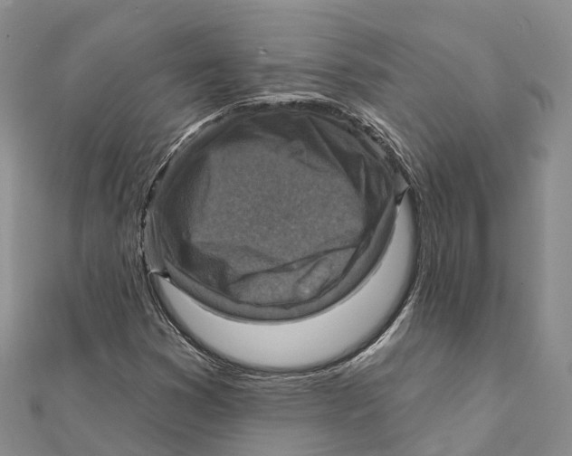 X0000112101353200909011116