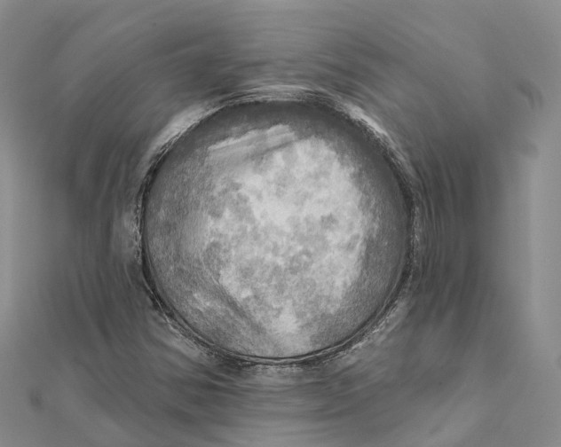 X0000112101354200909011116