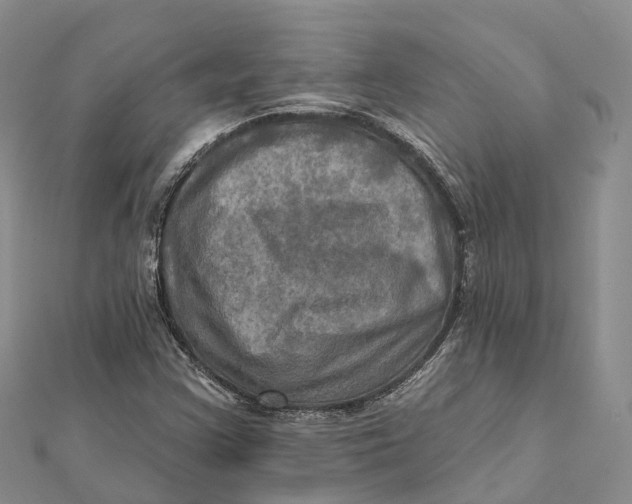 X0000112101355200909011116