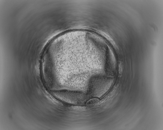 X0000112101356200909011116