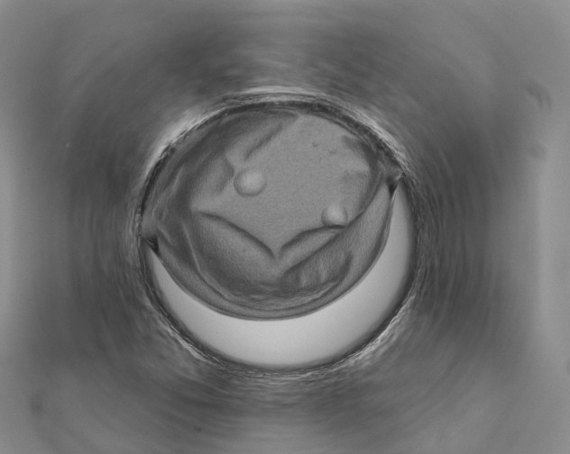 X0000112101357200909011116