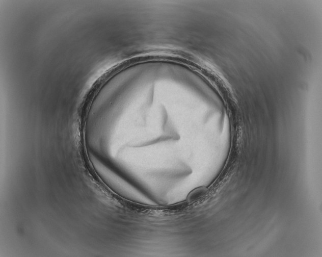 X0000112101360200909011116