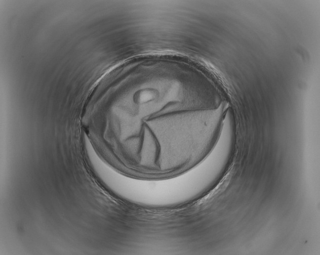 X0000112101361200909011116