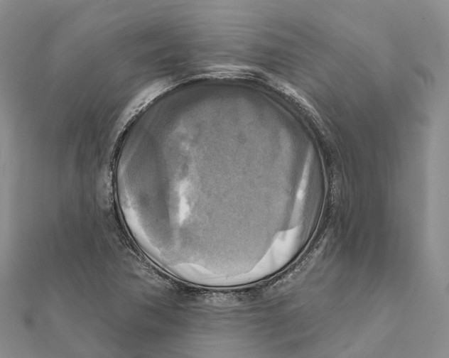X0000112101362200909011116