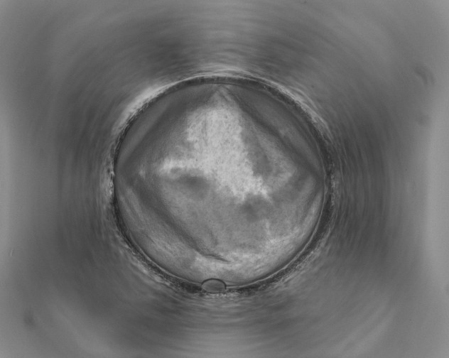 X0000112101363200909011116