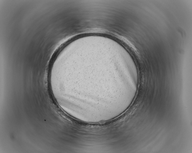 X0000112101364200909011116